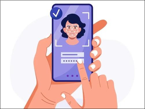 身份证信息在哪查询？