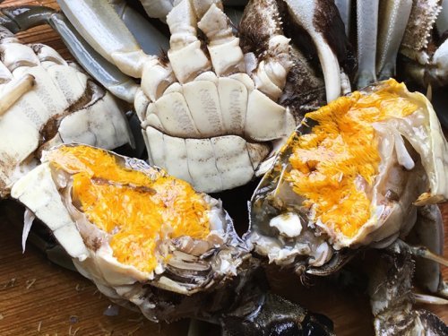 大闸蟹死了还能吃吗？