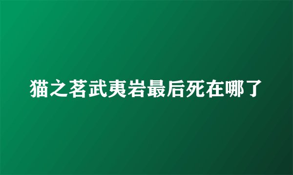 猫之茗武夷岩最后死在哪了