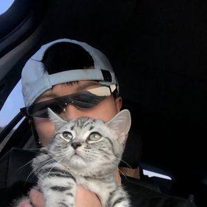 尔等匹夫妄想阻止我入城是什么歌