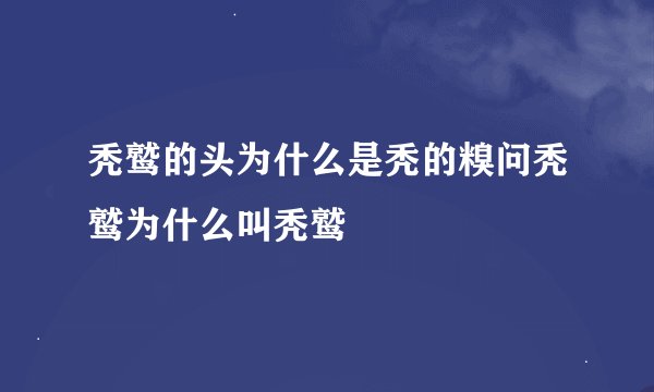 秃鹫的头为什么是秃的糗问秃鹫为什么叫秃鹫