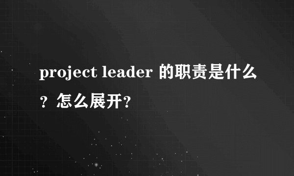 project leader 的职责是什么？怎么展开？