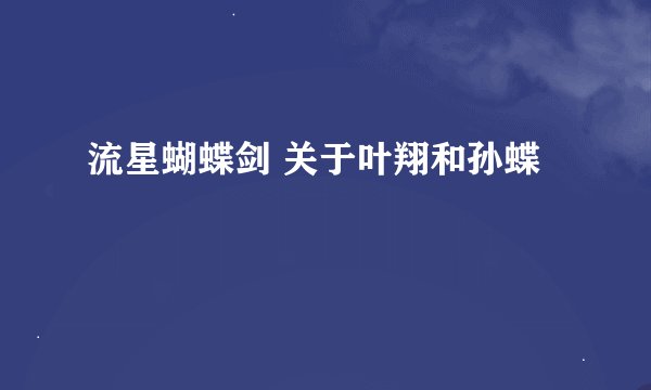 流星蝴蝶剑 关于叶翔和孙蝶