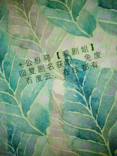 我们诞生在中国 的英文版百度云