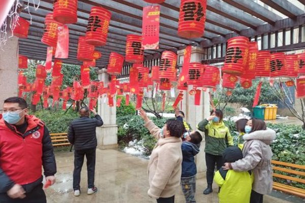 静观其变打一个正确生肖