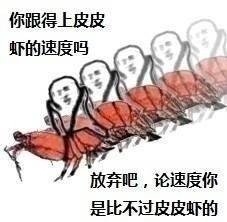 皮皮虾这个梗到底是什么意思，又从何而来