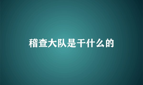 稽查大队是干什么的