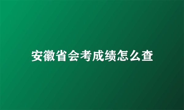 安徽省会考成绩怎么查