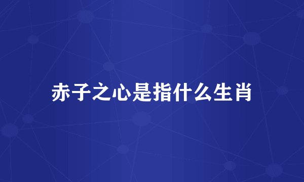 赤子之心是指什么生肖