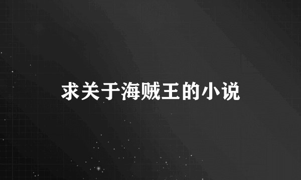 求关于海贼王的小说