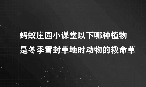 蚂蚁庄园小课堂以下哪种植物是冬季雪封草地时动物的救命草