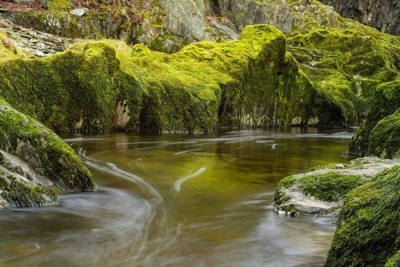 别具一格的意思