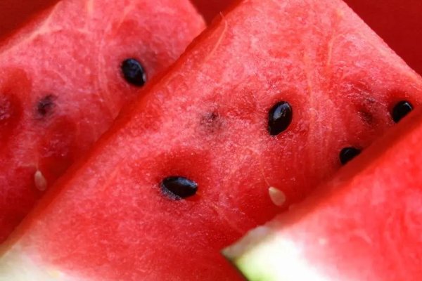 中国最好的西瓜种子排名