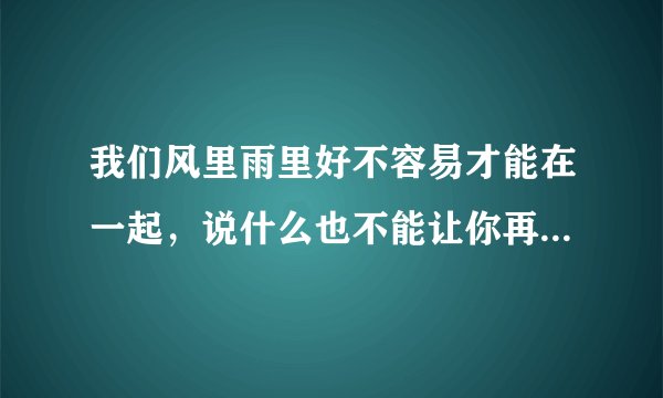 我们风里雨里好不容易才能在一起，说什么也不能让你再离我而去 哪首歌里有这段歌词