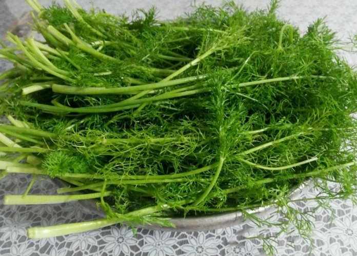 蔬菜含盐量更高