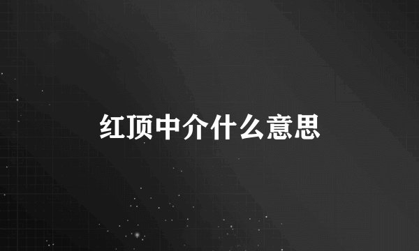 红顶中介什么意思