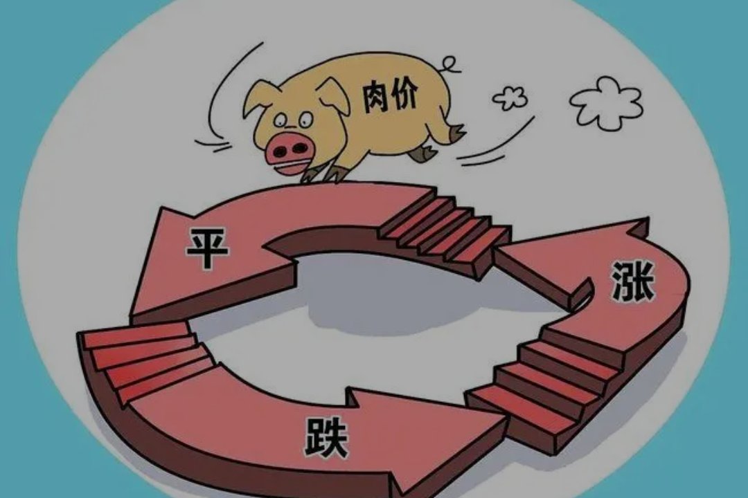 猪价上涨主因：存栏减少和压栏惜售，猪肉价格的后期走势如何？
