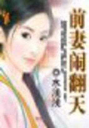 前妻闹翻天的介绍