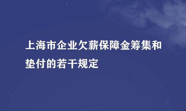 上海市企业欠薪保障金筹集和垫付的若干规定
