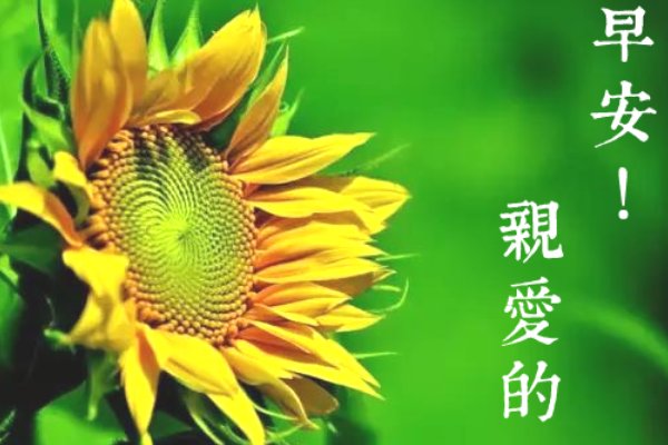 达令是什么意思darling