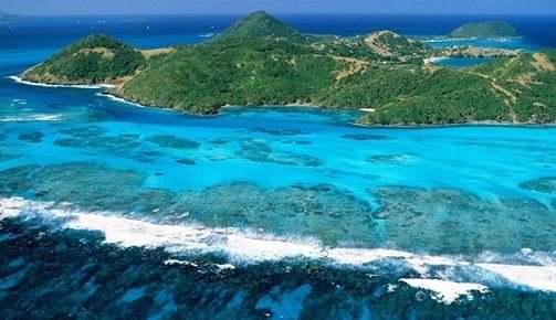 海洋中的生物种类繁多，那么海洋生物资源最丰富的是哪个大洋？有什么依据？