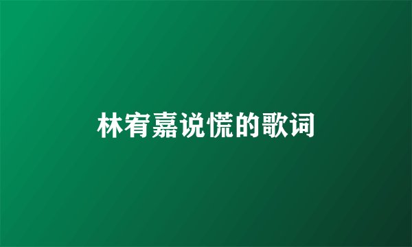 林宥嘉说慌的歌词