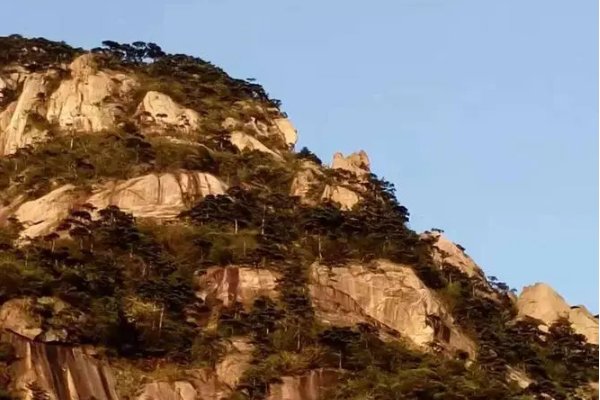 金鸡叫天都的拼音