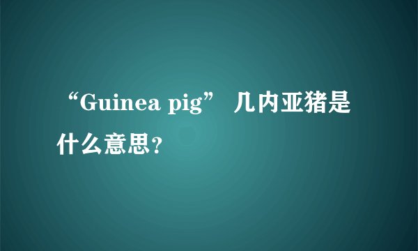 “Guinea pig” 几内亚猪是什么意思？
