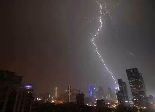 赵无言却有情，每于寒尽觉春生这句话表达了作者怎样的情感