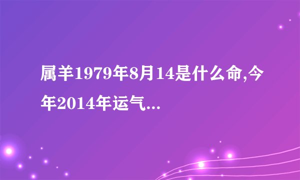 属羊1979年8月14是什么命,今年2014年运气怎么样呀