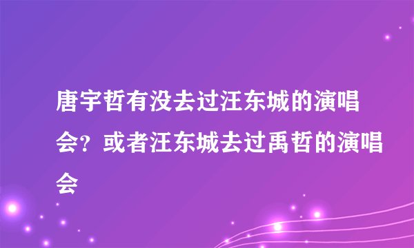 唐宇哲有没去过汪东城的演唱会？或者汪东城去过禹哲的演唱会