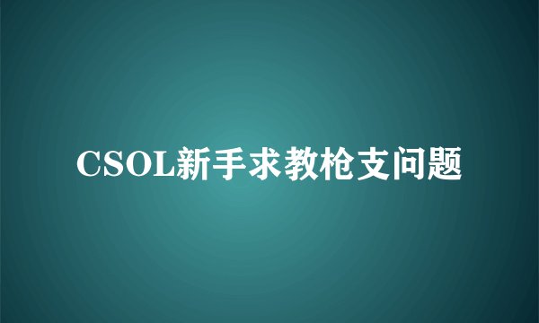 CSOL新手求教枪支问题