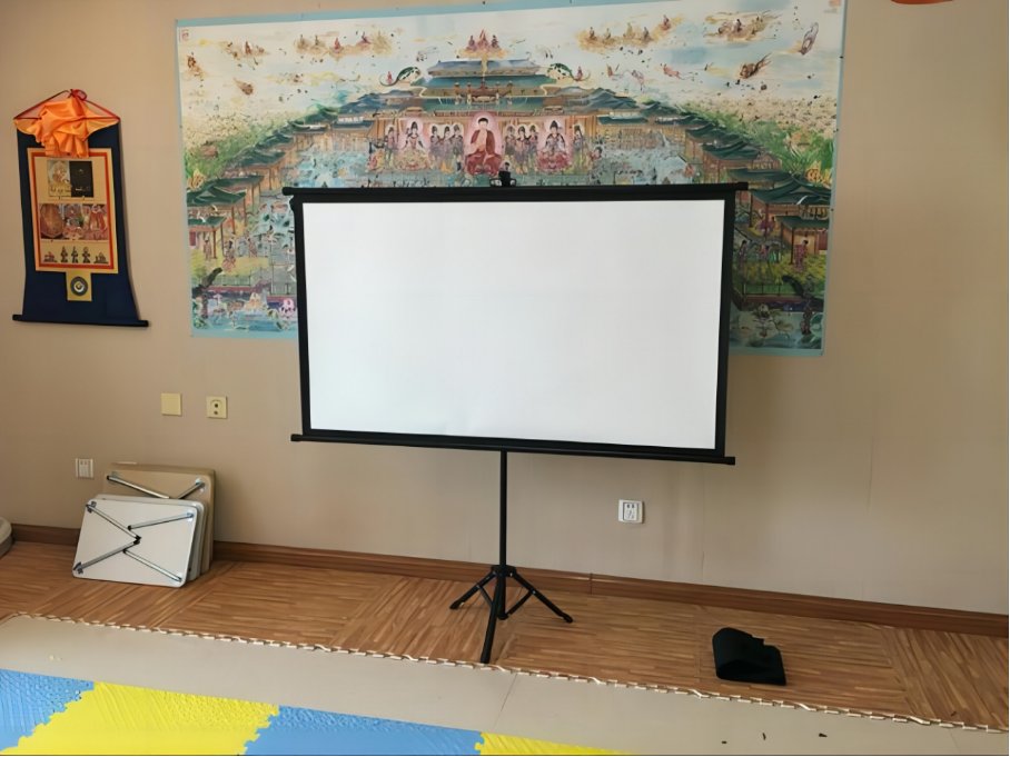 投影仪幕布什么牌子好