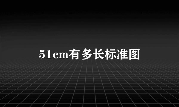 51cm有多长标准图