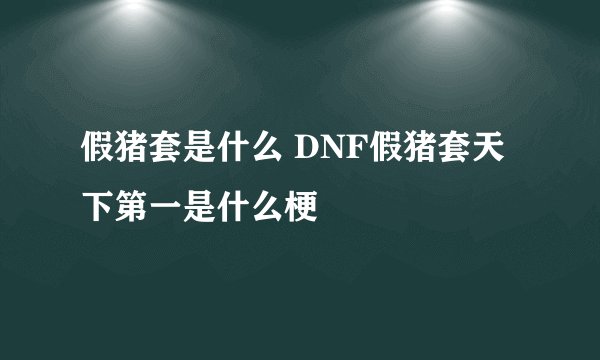 假猪套是什么 DNF假猪套天下第一是什么梗