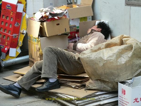 睡觉的中国人的介绍