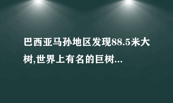 巴西亚马孙地区发现88.5米大树,世界上有名的巨树,都长在哪里?_百度知 ...
