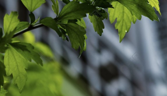 看了能让人湿到不行的句子