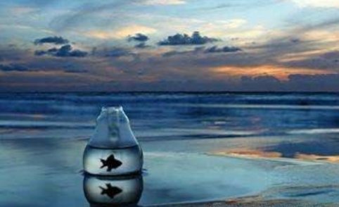 云在青天是什么意思？