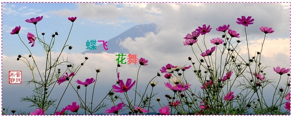 飞花逐蝶的介绍