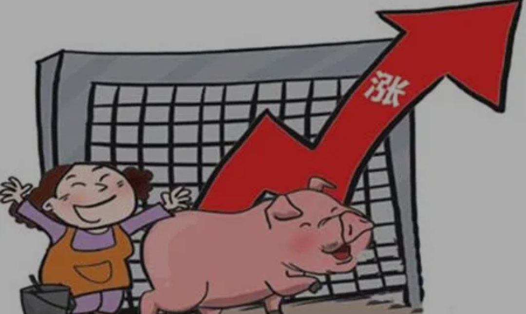 猪价上涨主因：存栏减少和压栏惜售，猪肉价格的后期走势如何？