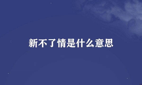 新不了情是什么意思