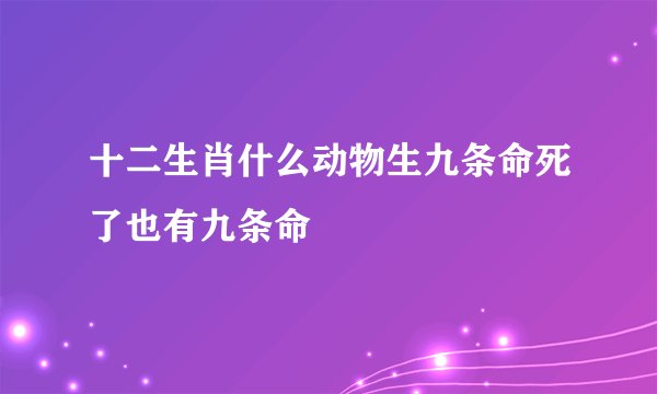十二生肖什么动物生九条命死了也有九条命