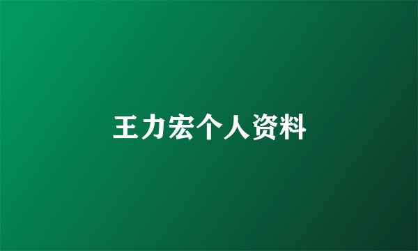 王力宏个人资料