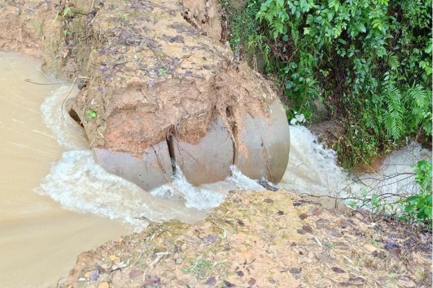 绝堤是什么意思解释