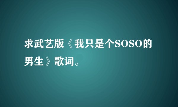 求武艺版《我只是个SOSO的男生》歌词。