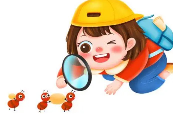 什么是定性观察