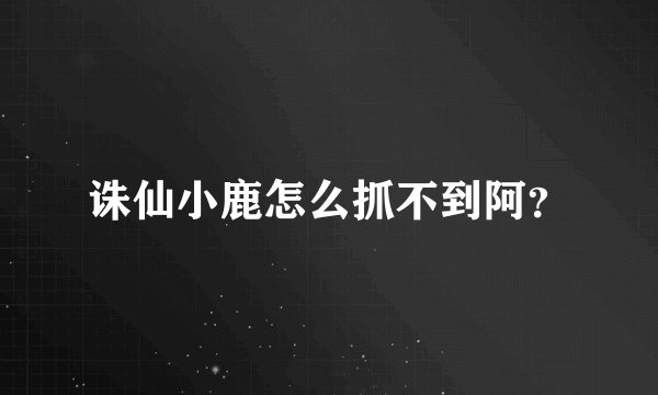 诛仙小鹿怎么抓不到阿？