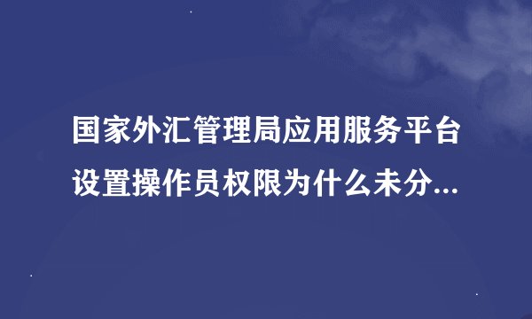 国家外汇管理局应用服务平台设置操作员权限为什么未分配角色列表什么也没有