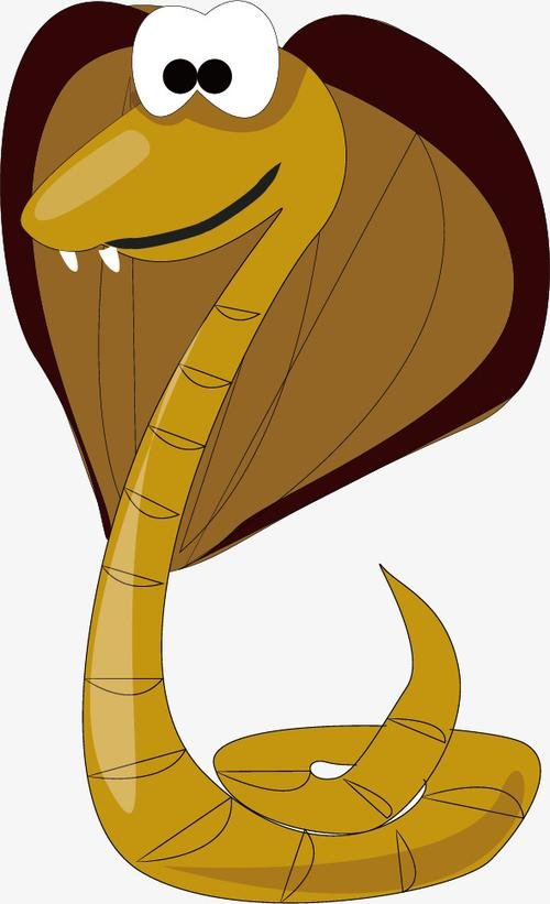 四川3米长眼镜蛇钻进车辆引擎盖被卡，眼镜蛇会主动攻击人类吗？